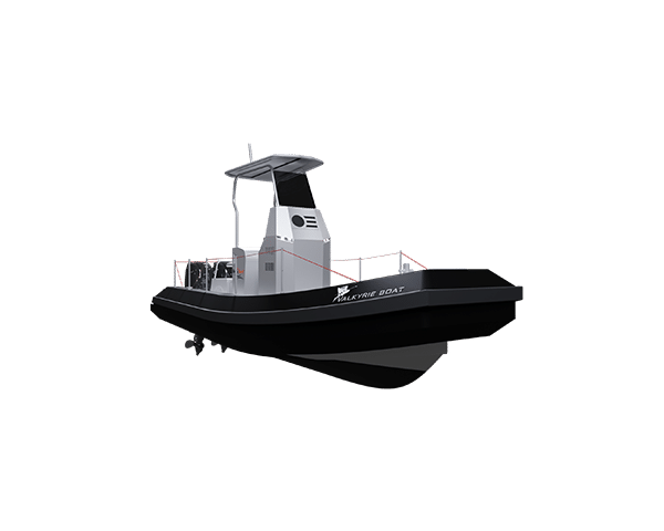 VALKYRIE 650