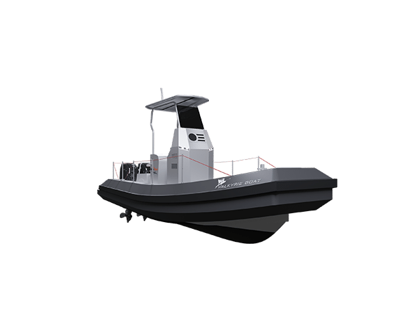 Valkyrie 650