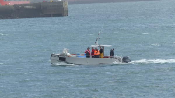 Bateau de pêche en aluminium