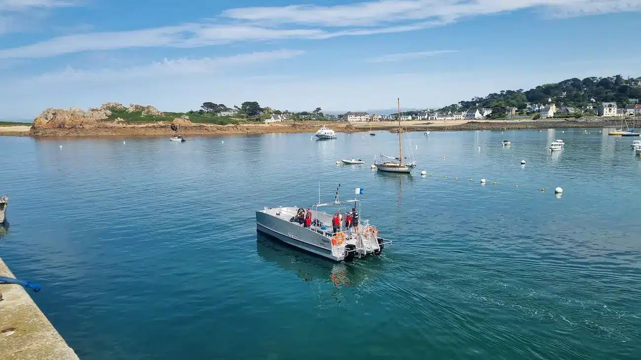 Odysea 11.00 catamaran plongée aluminium